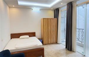 Nice studio for rent with 01 bedroom in Le Dai Hanh, Hai Ba Trung, Ha Noi