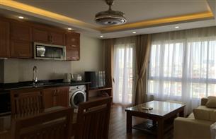 Apartment for rent with 01 bedroom in Tran Thai Tong, Cau Giay