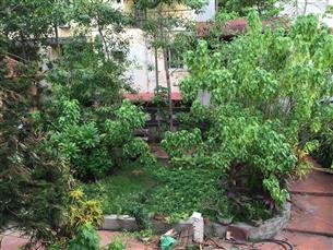 Garden view apartment with 01 bedroom,01 workingroom for rent in Ba Dinh